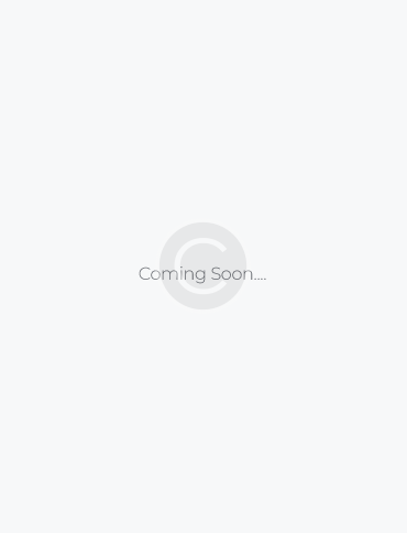 Virtual Assistant